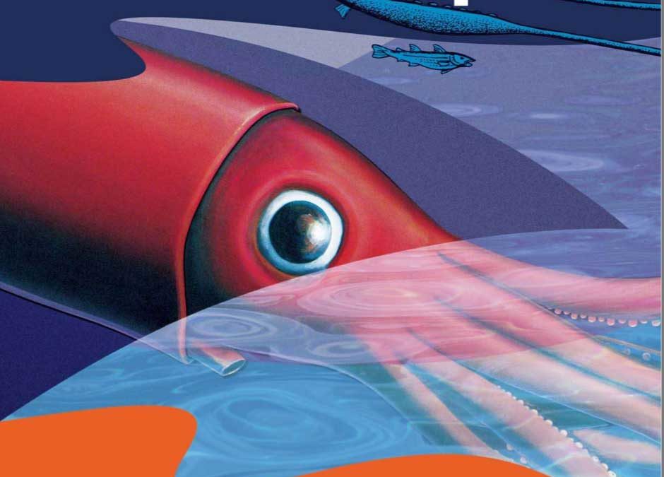 In search of the giant squid