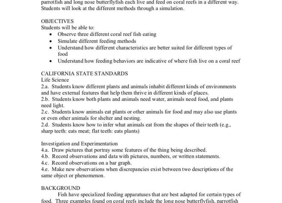 How do fish eat?-Experiment