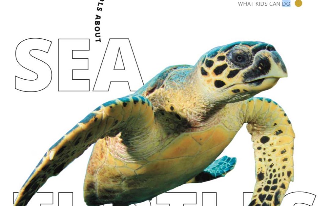 Threats to sea turtles