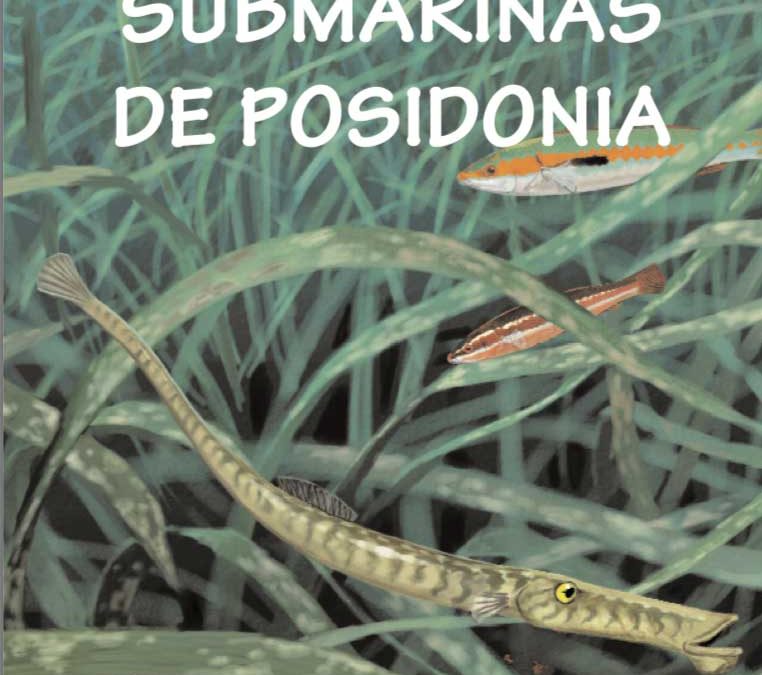 Las praderas submarinas de posidonia