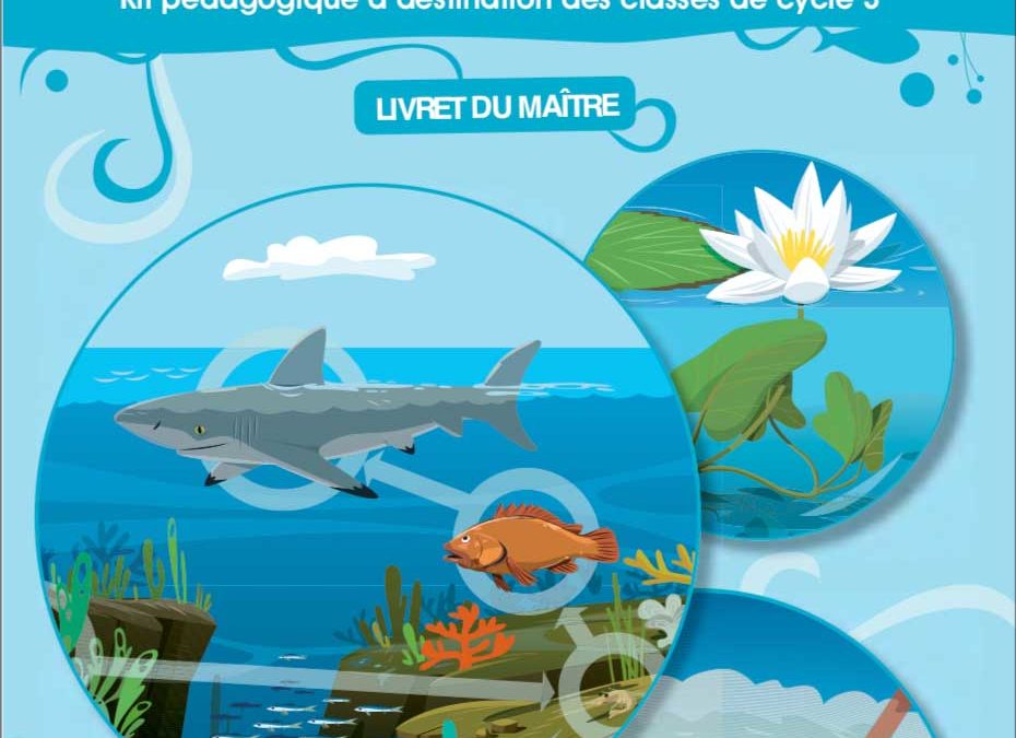 Les écosystèmes aquatiques-Les poissons