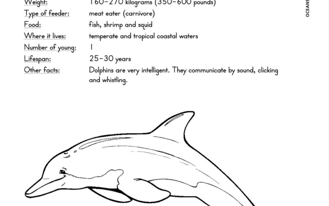 Fiche d'information sur les animaux marins et cahier à colorier