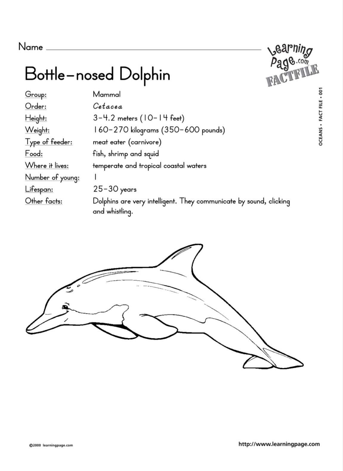 Marine Animal Factsheet and Coloring Book - Big Blue Network