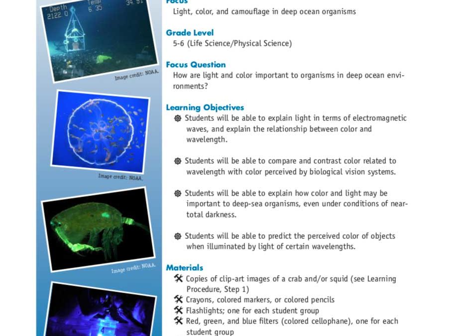 Now you see me, now you don’t-Light, color and camouflage in deep ocean organisms