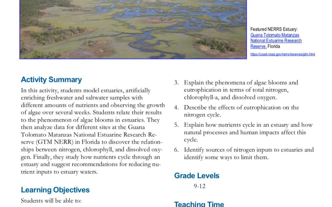 Nutrients in an estuary