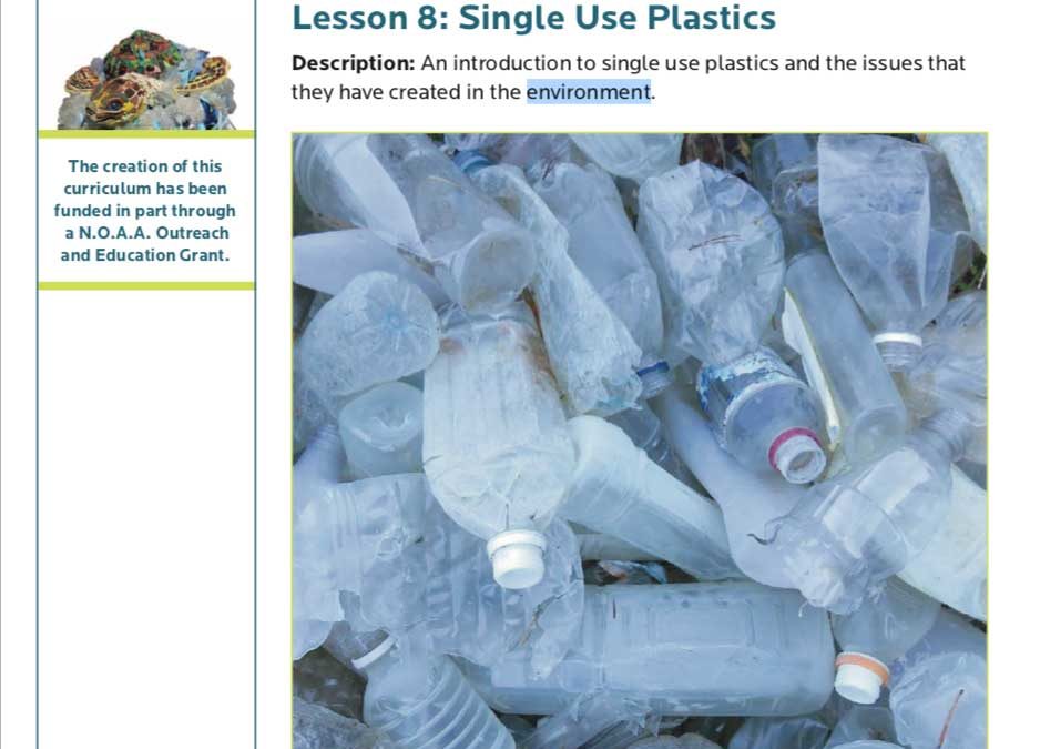 Solutions for single use plastic