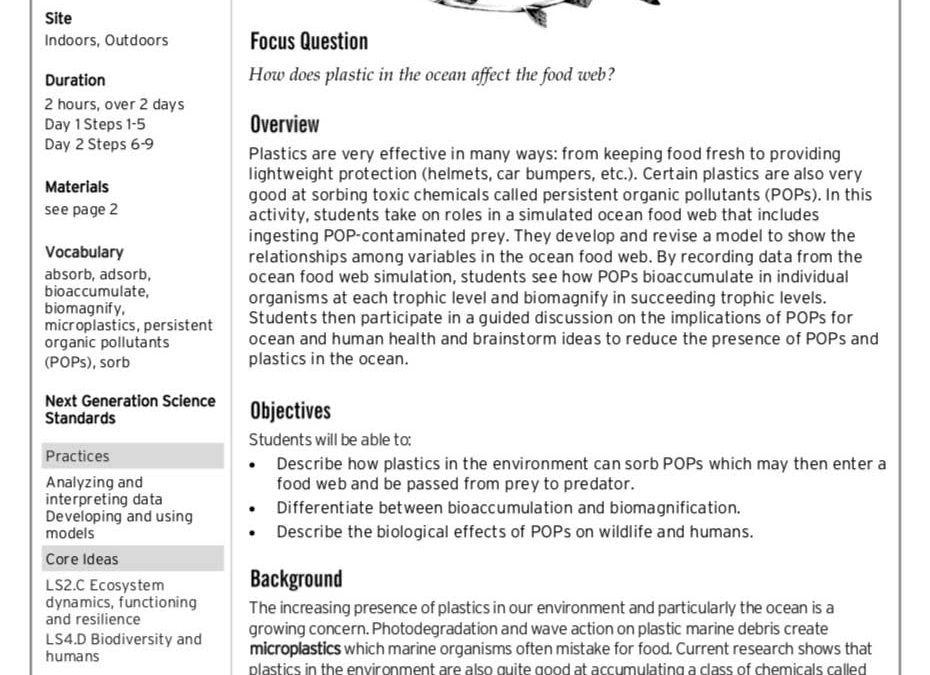 Plastic in the ocean-Food web game